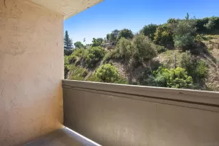 Photo #6: 250022157 Listing