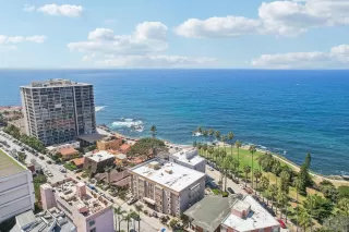 Photo #2: 250022178 Listing