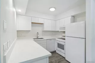 Photo #5: 250022209 Listing