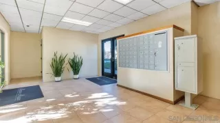 Photo #1: 250022306 Listing