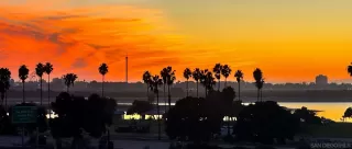 Photo #1: 250022418 Listing 