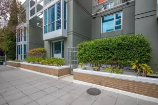 Photo #4: 250022421 Listing 