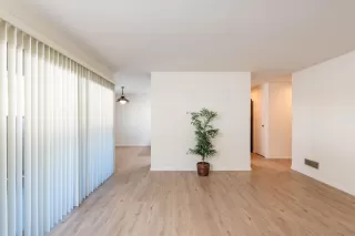 Photo #4: 250022462 Listing