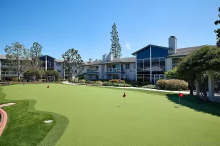 Photo #1: 250022511 Listing 