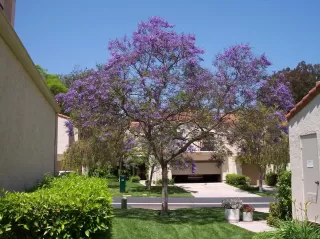 Photo #3: 250022512 Listing