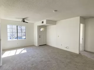 Photo #3: 250022526 Listing 