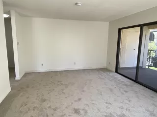 Photo #5: 250022526 Listing 