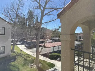 Photo #6: 250022526 Listing 