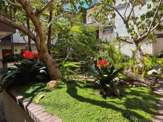 Photo #5: 250022584 Listing