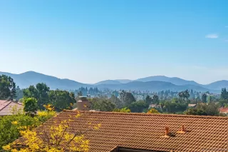 Photo #5: 250022601 Listing