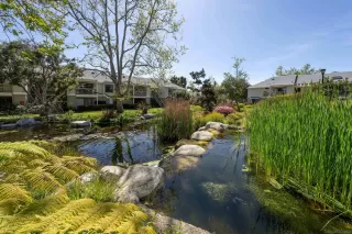 Photo #1: 250022605 Listing