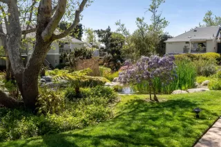 Photo #2: 250022605 Listing