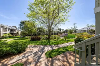 Photo #5: 250022605 Listing