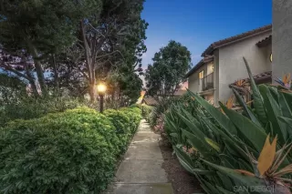 Photo #1: 250022646 Listing