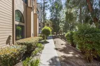 Photo #4: 250022828 Listing