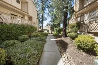 Photo #5: 250022828 Listing