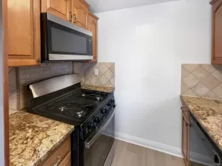 Photo #5: 250022984 Listing