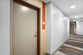 Photo #2: 250022993 Listing 