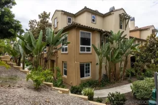 Photo #3: 250023022 Listing 