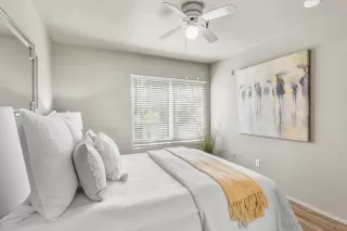 Photo #5: 250023044 Listing