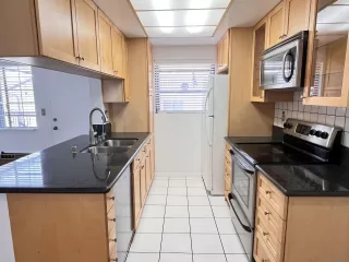 Photo #5: 250023048 Listing