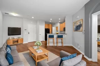 Photo #1: 250023094 Listing 