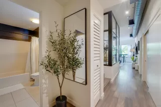 Photo #4: 250023113 Listing