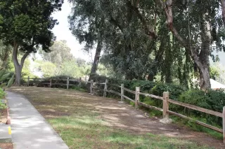 Photo #1: 250023153 Listing