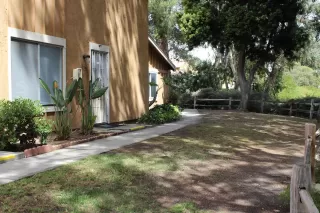 Photo #2: 250023153 Listing