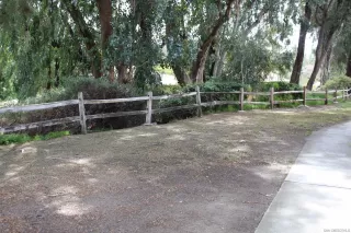 Photo #3: 250023153 Listing