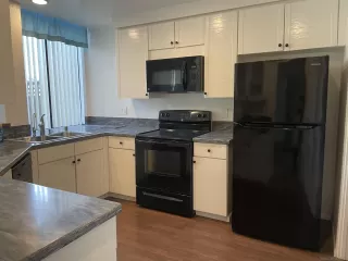 Photo #2: 250023261 Listing 