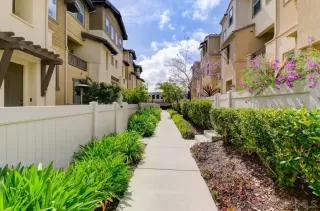 Photo #1: 250023290 Listing 