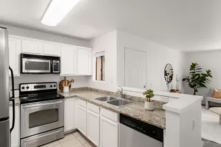 Photo #4: 250023362 Listing 