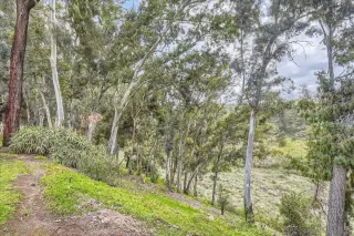 Photo #1: 250023438 Listing