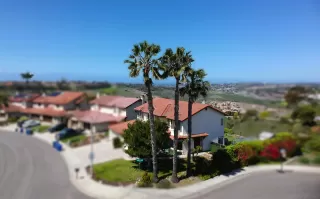 Photo #1: 250023484 Listing 