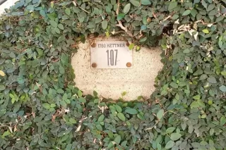 Photo #1: 250023490 Listing