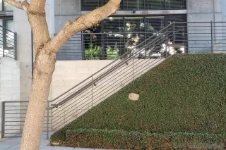 Photo #2: 250023490 Listing