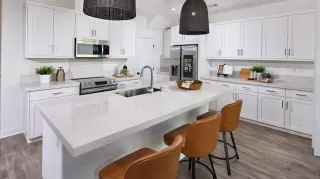 Photo #1: 250023665 Listing 