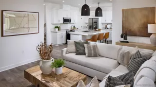 Photo #5: 250023665 Listing 