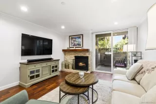Photo #1: 250023776 Listing 