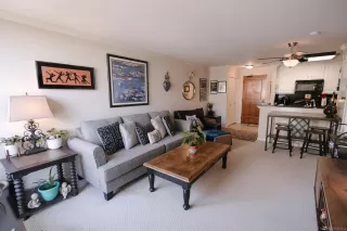 Photo #5: 250023994 Listing 