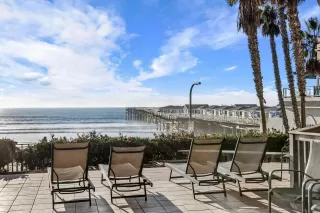 Photo #1: 250023996 Listing 