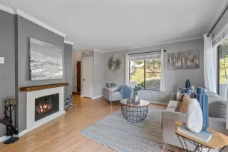 Photo #1: 250023997 Listing