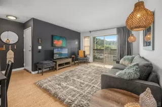 Photo #5: 250024080 Listing