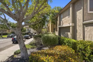 Photo #3: 250024178 Listing 