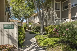 Photo #4: 250024178 Listing 