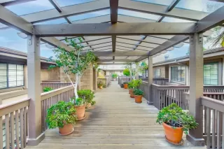 Photo #2: 250024191 Listing 