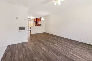 Photo #1: 250024315 Listing 