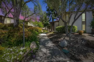 Photo #1: 250024374 Listing