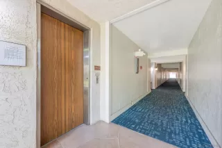 Photo #4: 250024374 Listing